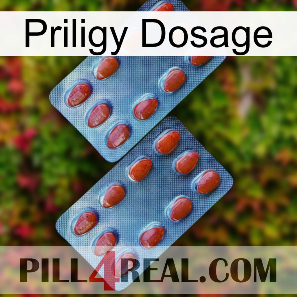 Priligy Dosage 05